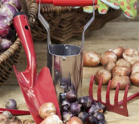 Ab in den Garten – Blumenzwiebeln im Frühjahr einpflanzen Ab in den Garten – Blumenzwiebeln im Frühjahr einpflanzen