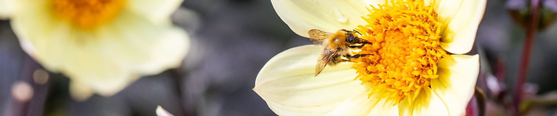 GS656018.jpg GS656018.jpg